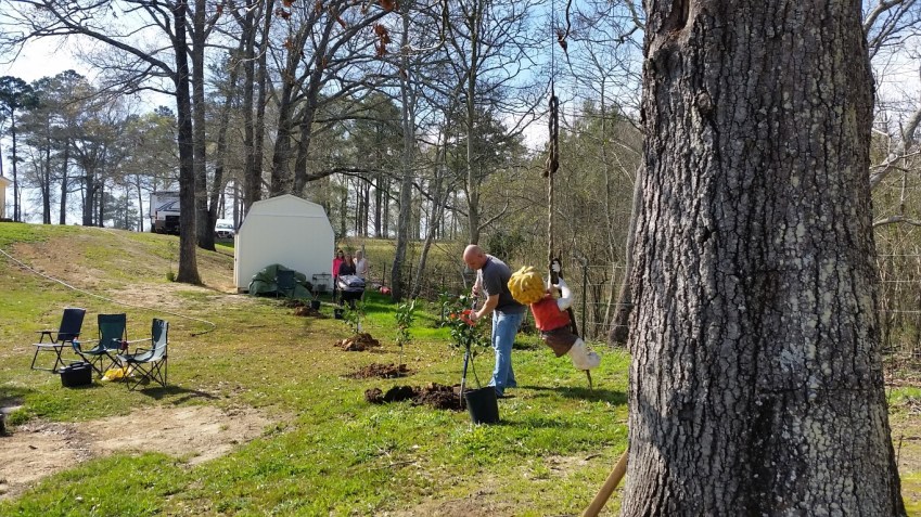 20160306_144039 (Medium)