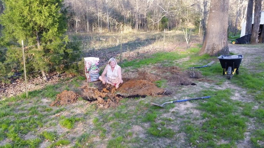 20160306_165410 (Medium)