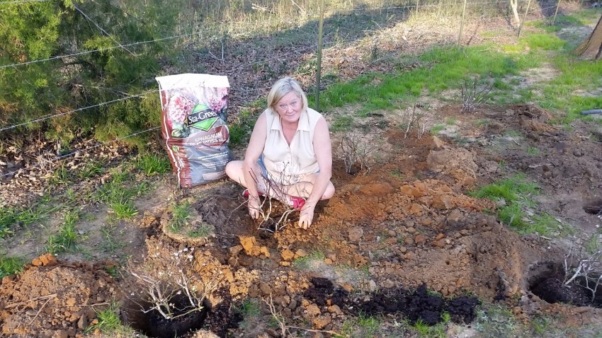 20160306_165425 (Medium)