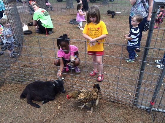 10171787_1531485223744725_4267767348501924380_n