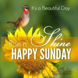 13062186_865388300239011_7653678677924921637_n