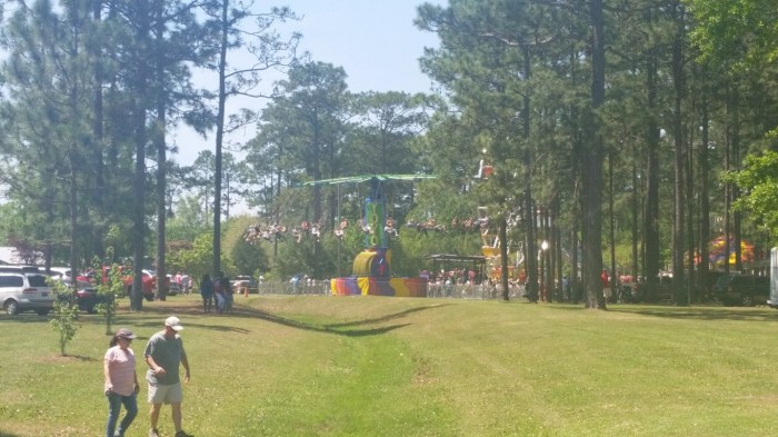 20160409_122135 (Medium)