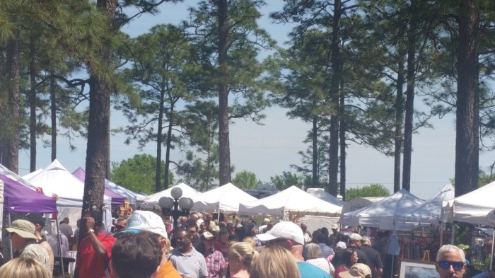 20160409_122305 (Medium)