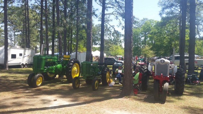 20160409_124548 (Medium)