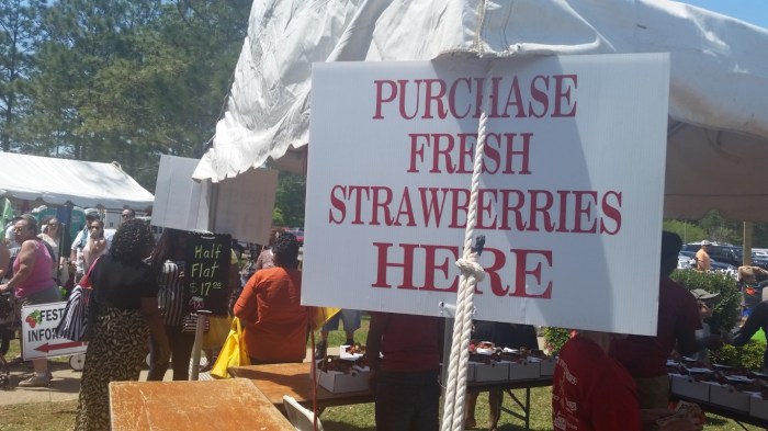 20160409_132718 (Medium)