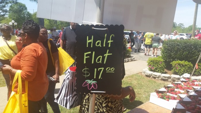 20160409_132725 (Medium)