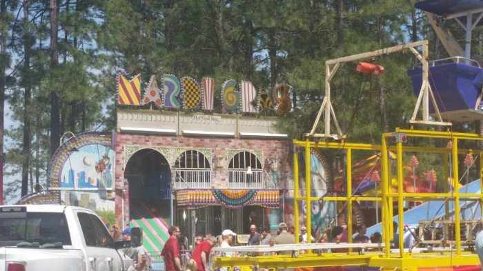 20160409_133616 (Medium)