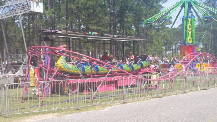 20160409_133648 (Medium)