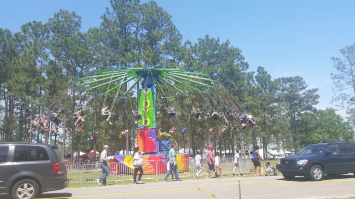 20160409_133933 (Medium)