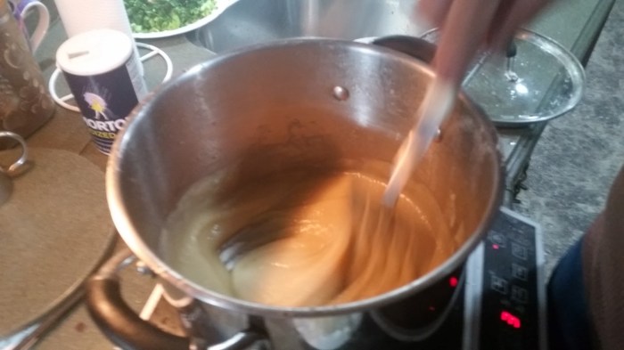 20160413_100920 (Medium)