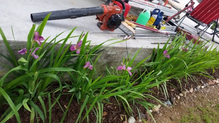 20160415_141750 (Medium)