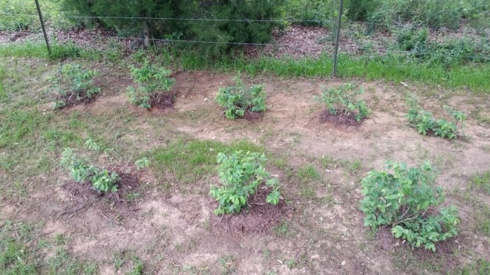 20160415_144212 (Medium)