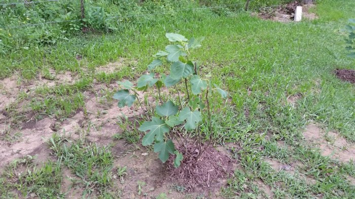 20160415_144330 (Medium)