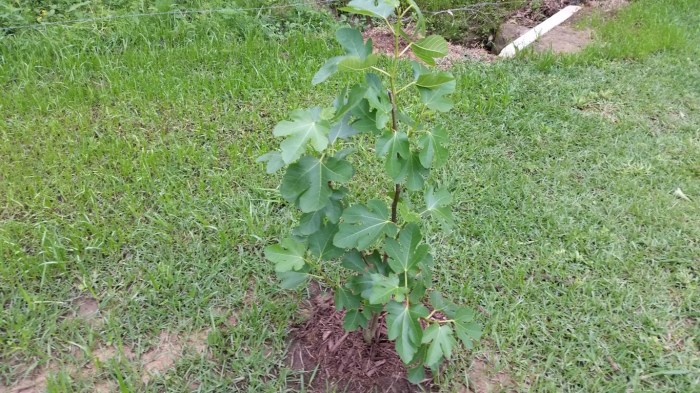 20160415_144338 (Medium)