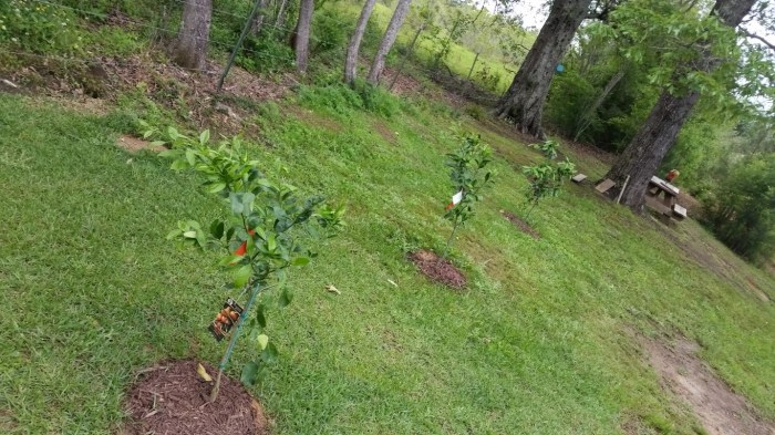 20160415_144347 (Medium)