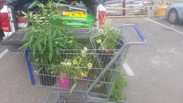 20160420_171128 (Medium)