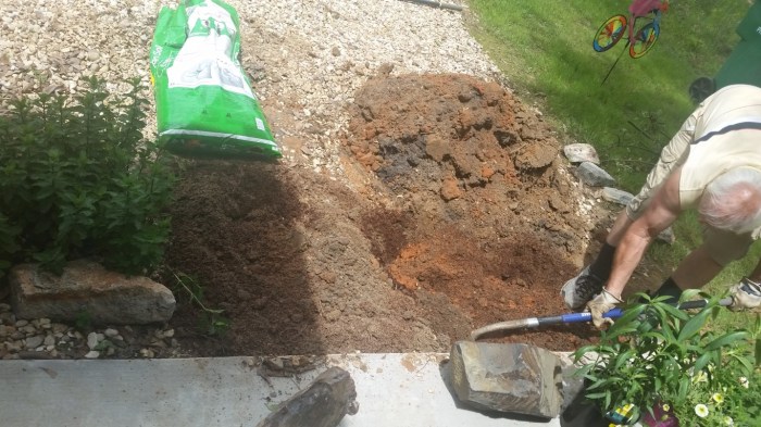 20160421_114713 (Medium)