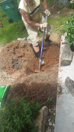 20160421_114725 (Medium)