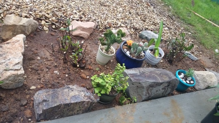 20160421_132327 (Medium)