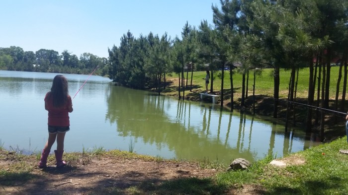 20160423_124805 (Medium)