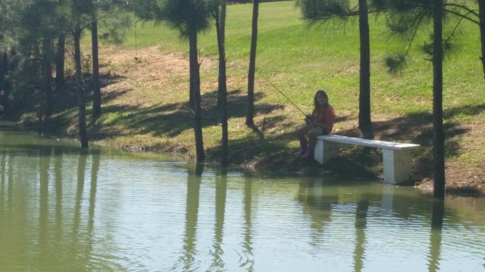 20160423_131457 (Medium)