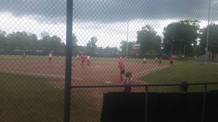 20160526_180636 (Medium)