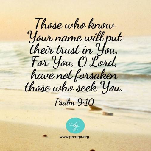 11230908_10153129691922857_170828494835528794_n