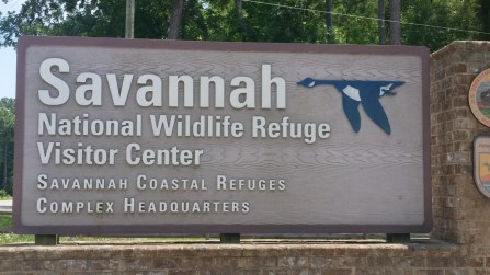 20160601_140553 (Medium)