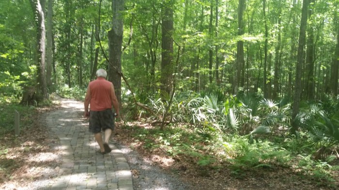 20160601_141255 (Medium)