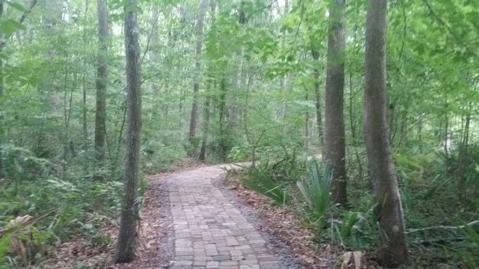 20160601_141451 (Medium)