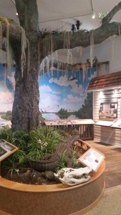 20160601_141600 (Large)