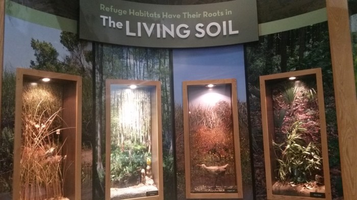 20160601_141622 (Large)