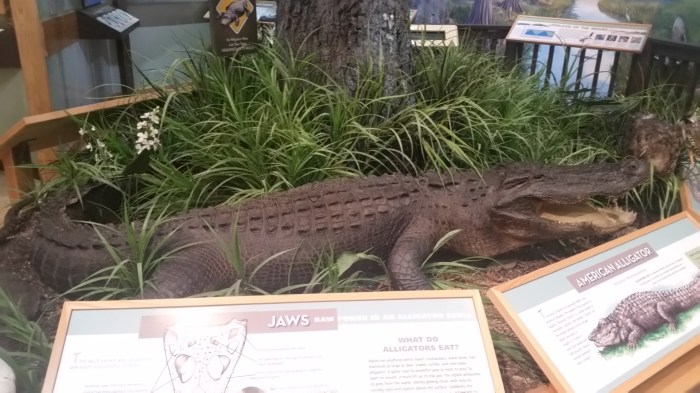 20160601_141708 (Large)