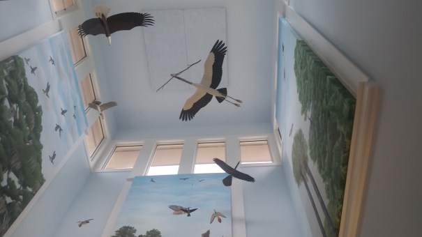 20160601_141914 (Large)