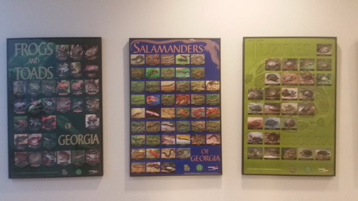 20160601_142042 (Large)