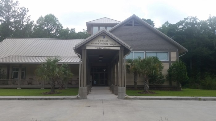 20160601_142347 (Large)