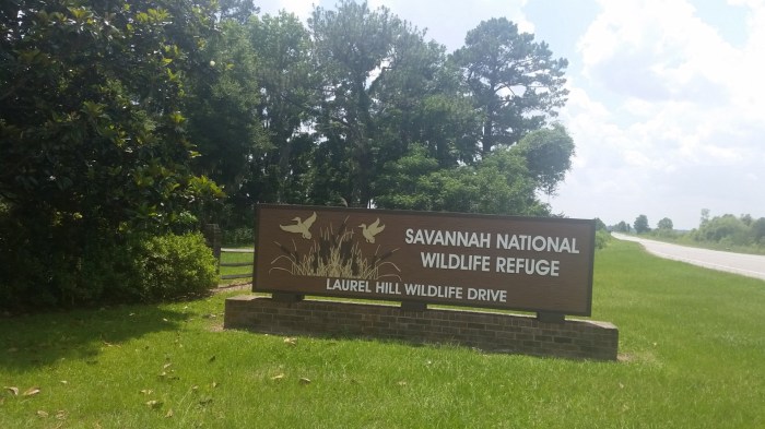 20160601_143039 (Large)