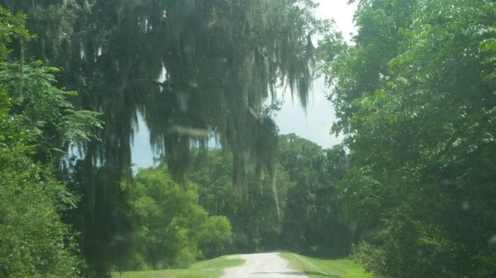 20160601_143744 (Large)