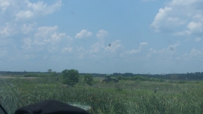 20160601_144810 (Large)