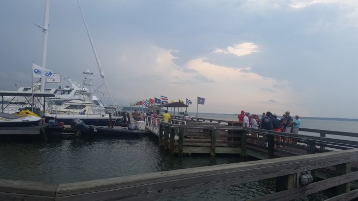 20160602_173515 (Large)