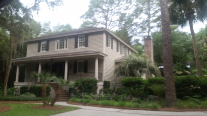 20160602_175311 (Large)