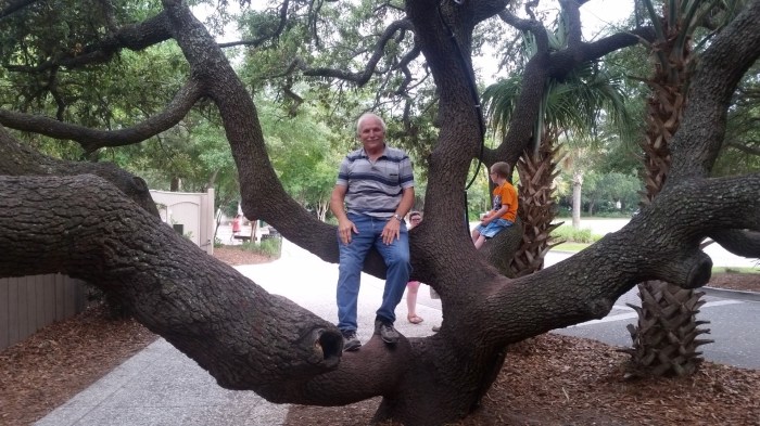 20160602_181440 (Large)