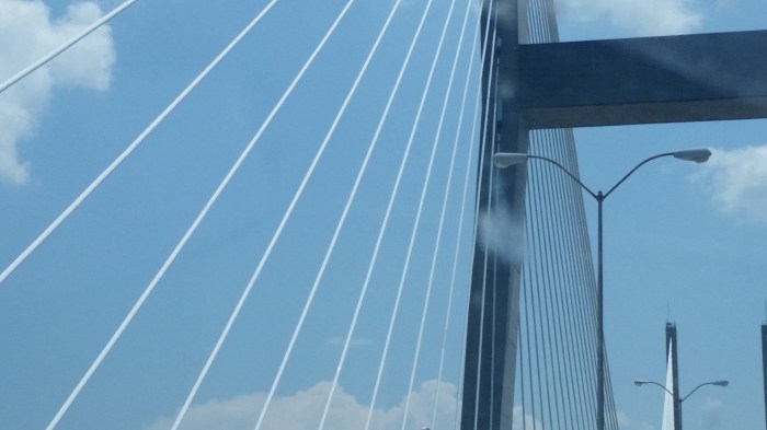 20160603_143132 (Large)