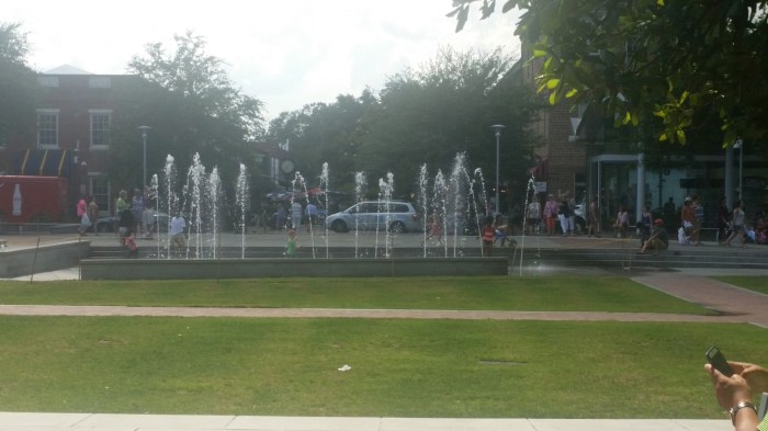 20160603_154225 (Large)