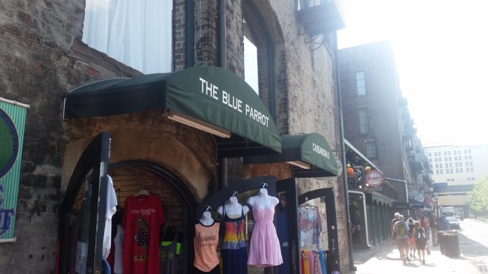 20160603_165020 (Large)