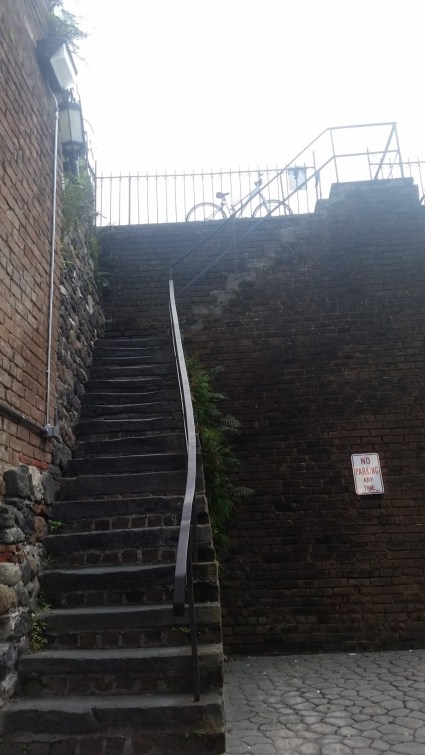 20160603_172736 (Large)