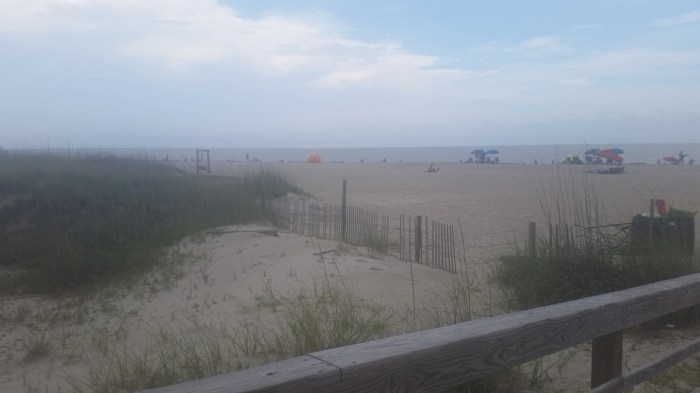 20160605_162717 (Large)