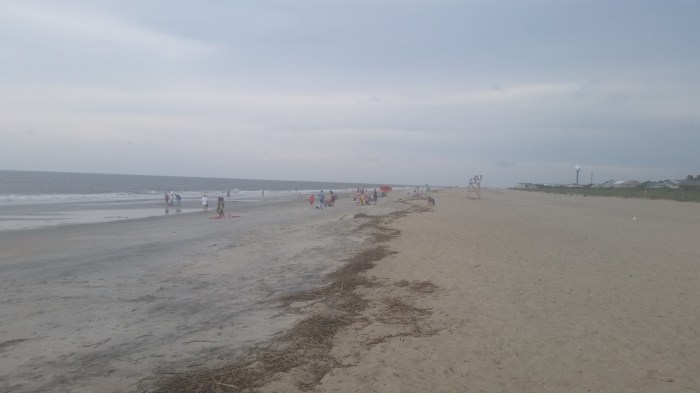 20160605_163402 (Large)