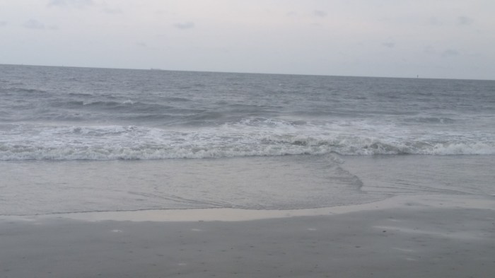 20160605_163744 (Large)