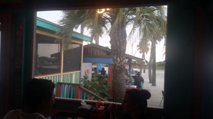 20160605_172802 (Large)